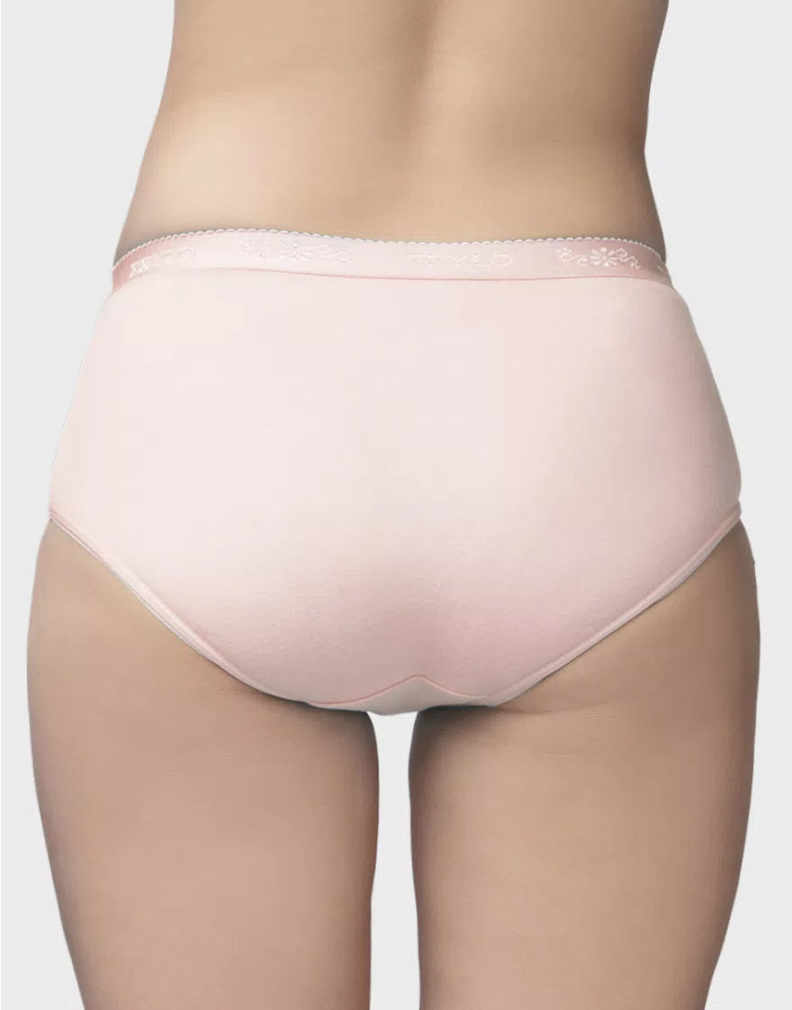 ANGEL LIGHT (PACK OF 3)